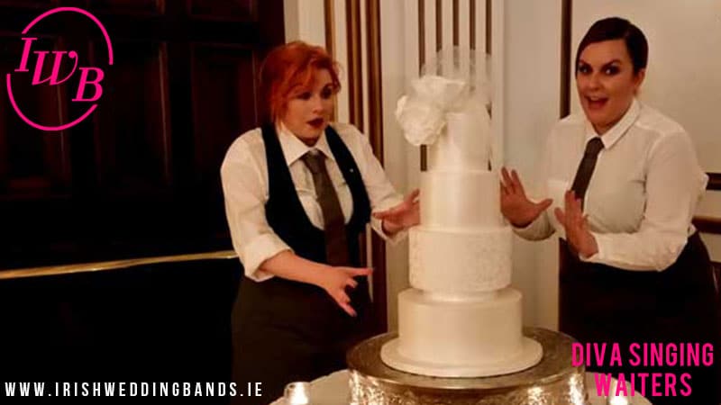 The Singing Waiters - Everything you need to know about Ireland's best wedding entertainment.
