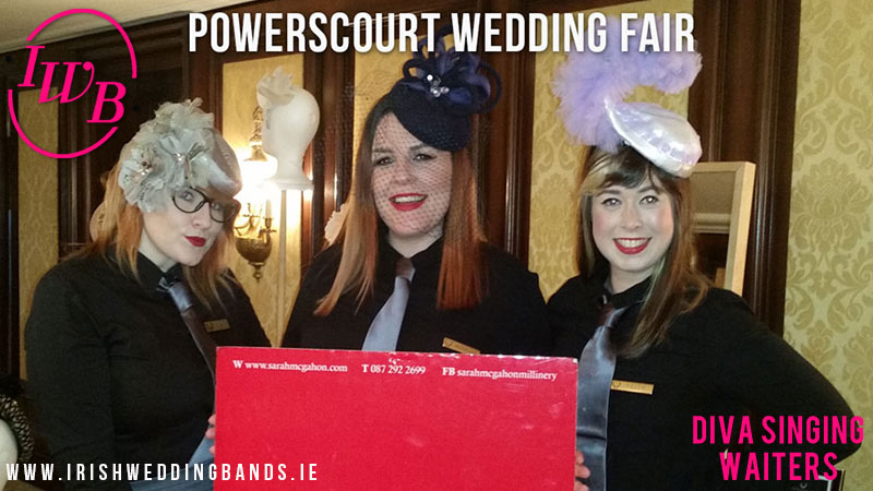 The Singing Waiters - Everything you need to know about Ireland's best wedding entertainment.